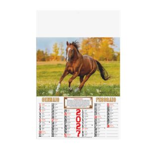calendario cavalli bimestrale 6 fogli carta patinata testata pressofusa personalizzabile