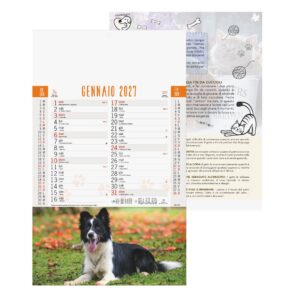 calendario cani e gatti trimestrale 12 fogli carta patinata lucida testata pressofusa