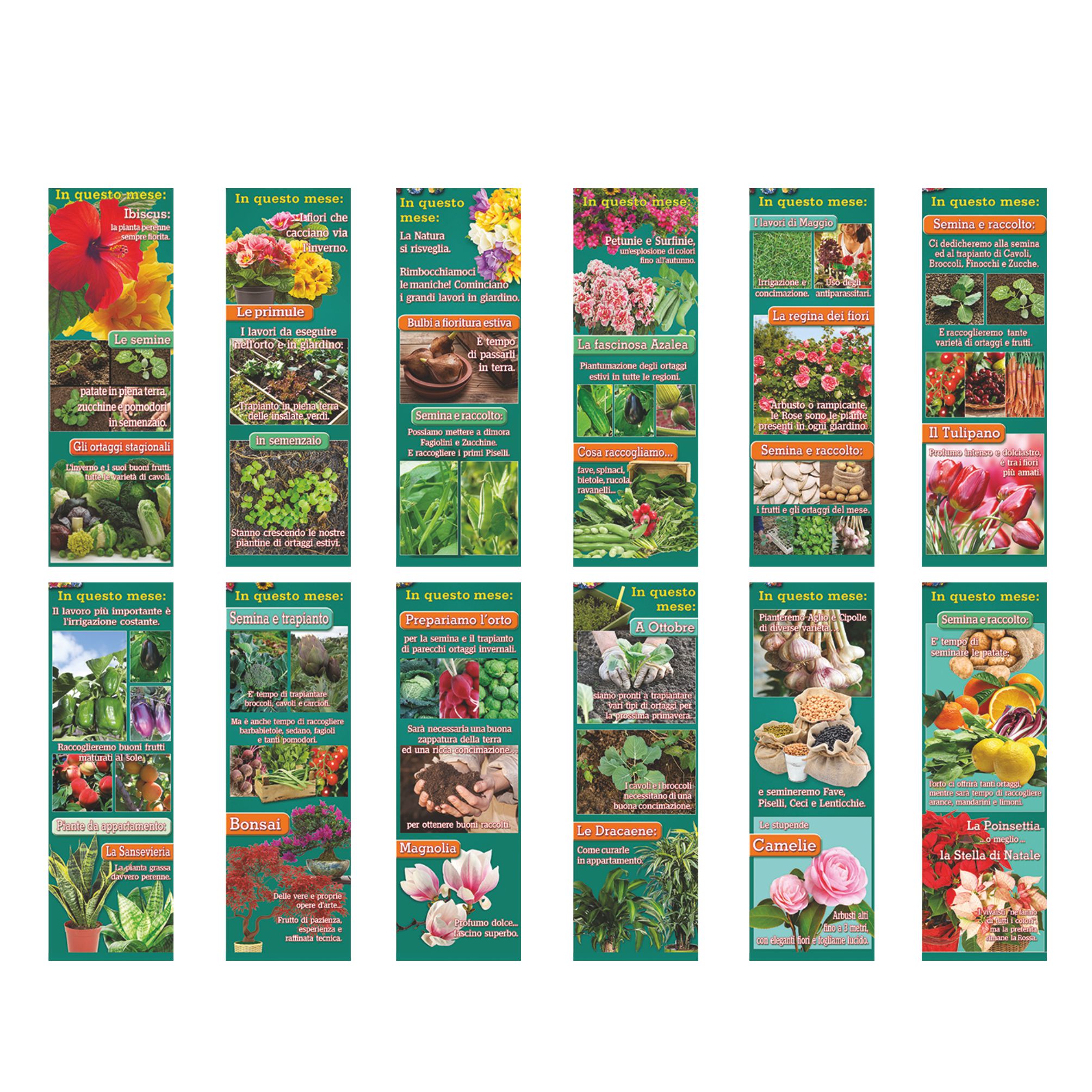 illustrazioni presenti nel calendario orto e giardino trimestrale 12 fogli carta patinata testata pressofusa personalizzabile