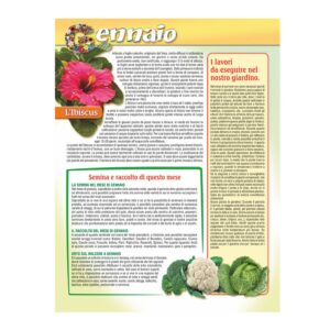 retro del calendario orto e giardino trimestrale 12 fogli carta patinata testata pressofusa personalizzabile