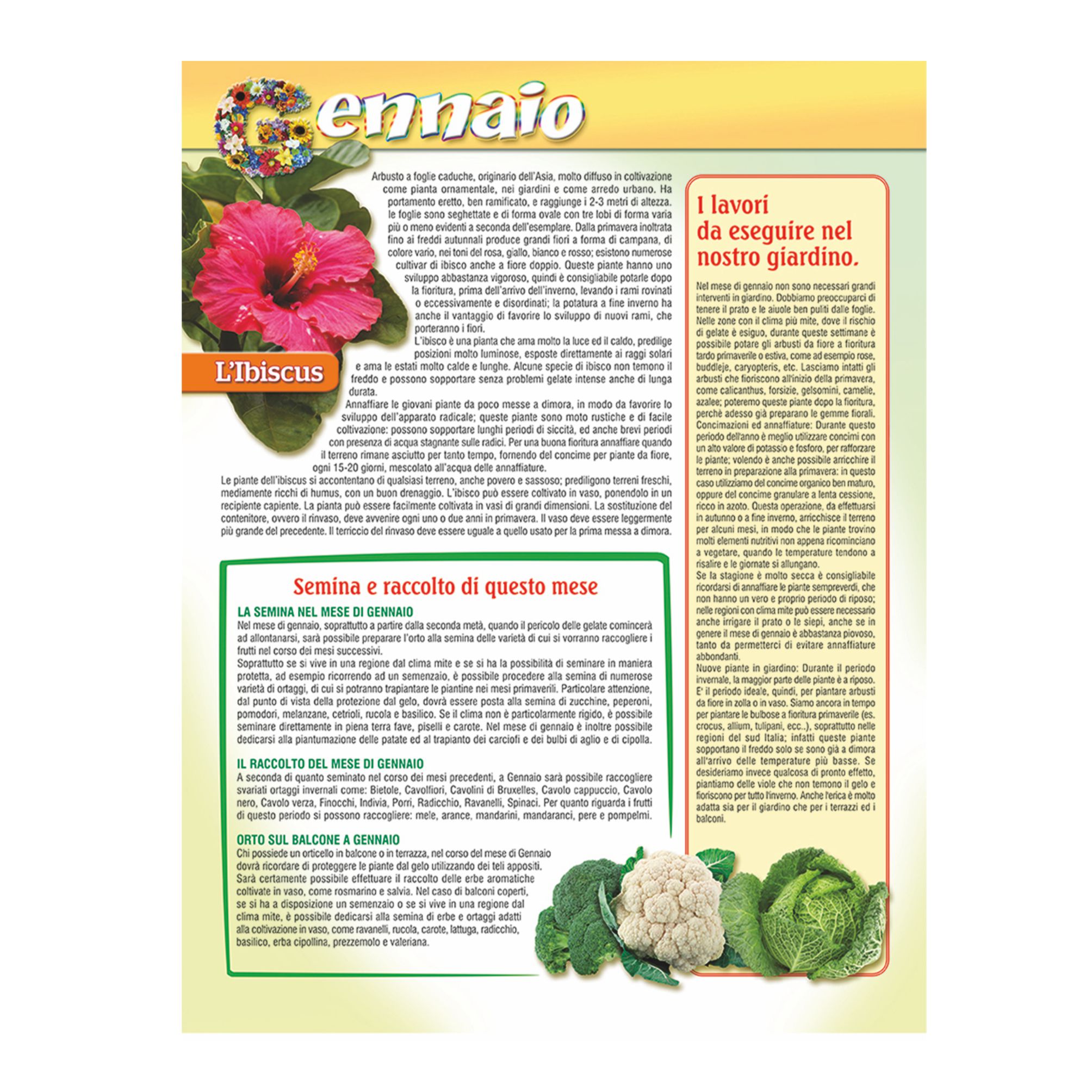 retro del calendario orto e giardino trimestrale 12 fogli carta patinata testata pressofusa personalizzabile