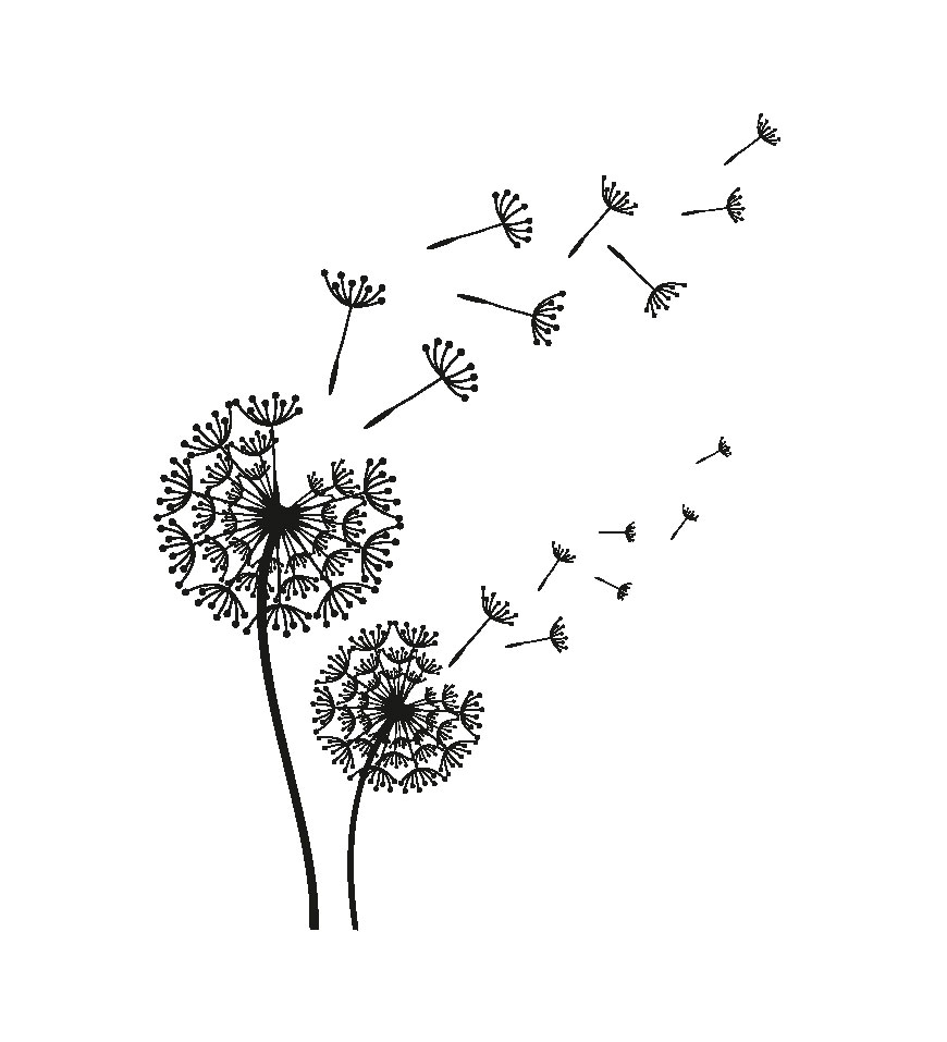 WallSticker Soffione Dente di Leone - immagine 2