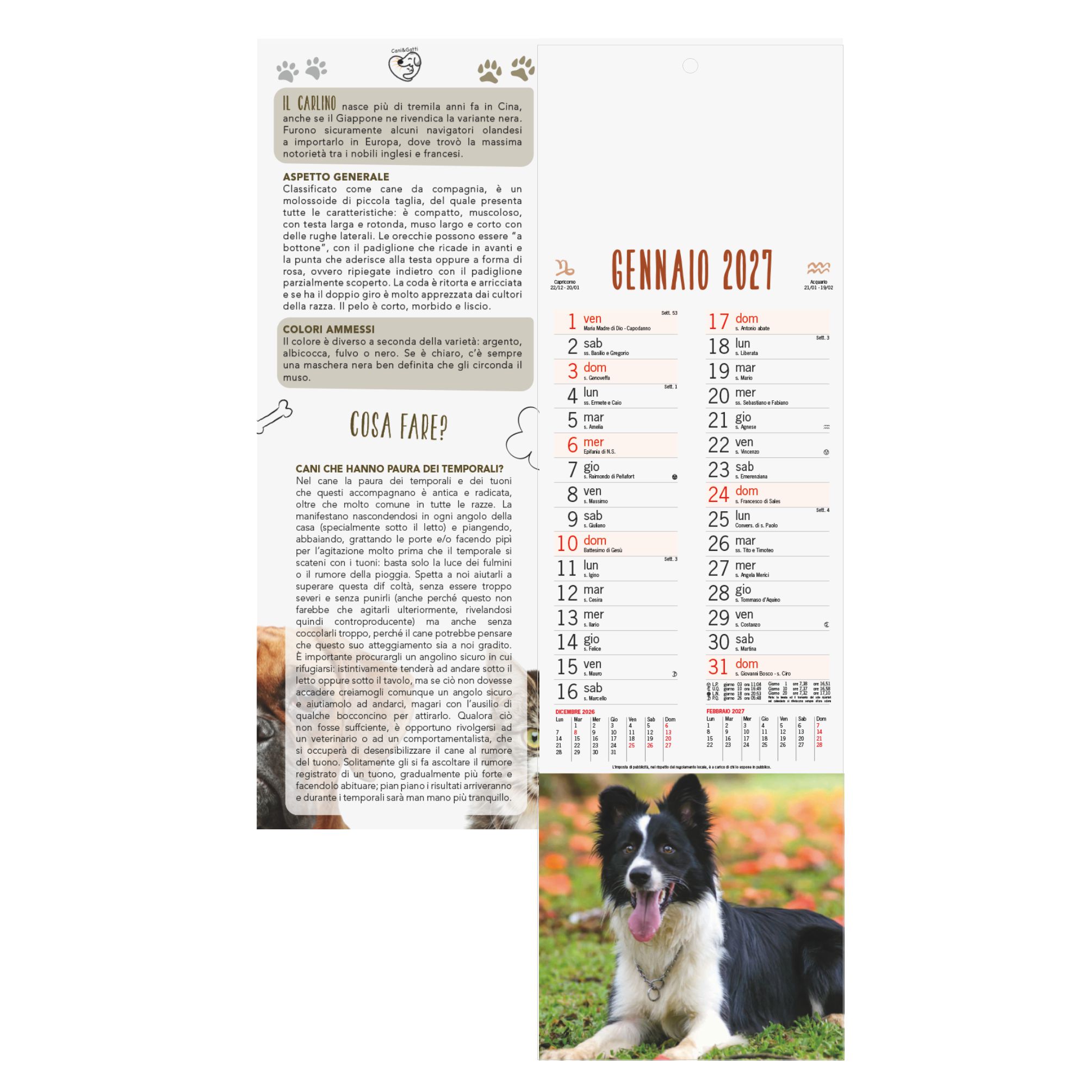 calendario cani e gatti olandese trimestrale 12 fogli carta patinata testata pressofusa personalizzabile
