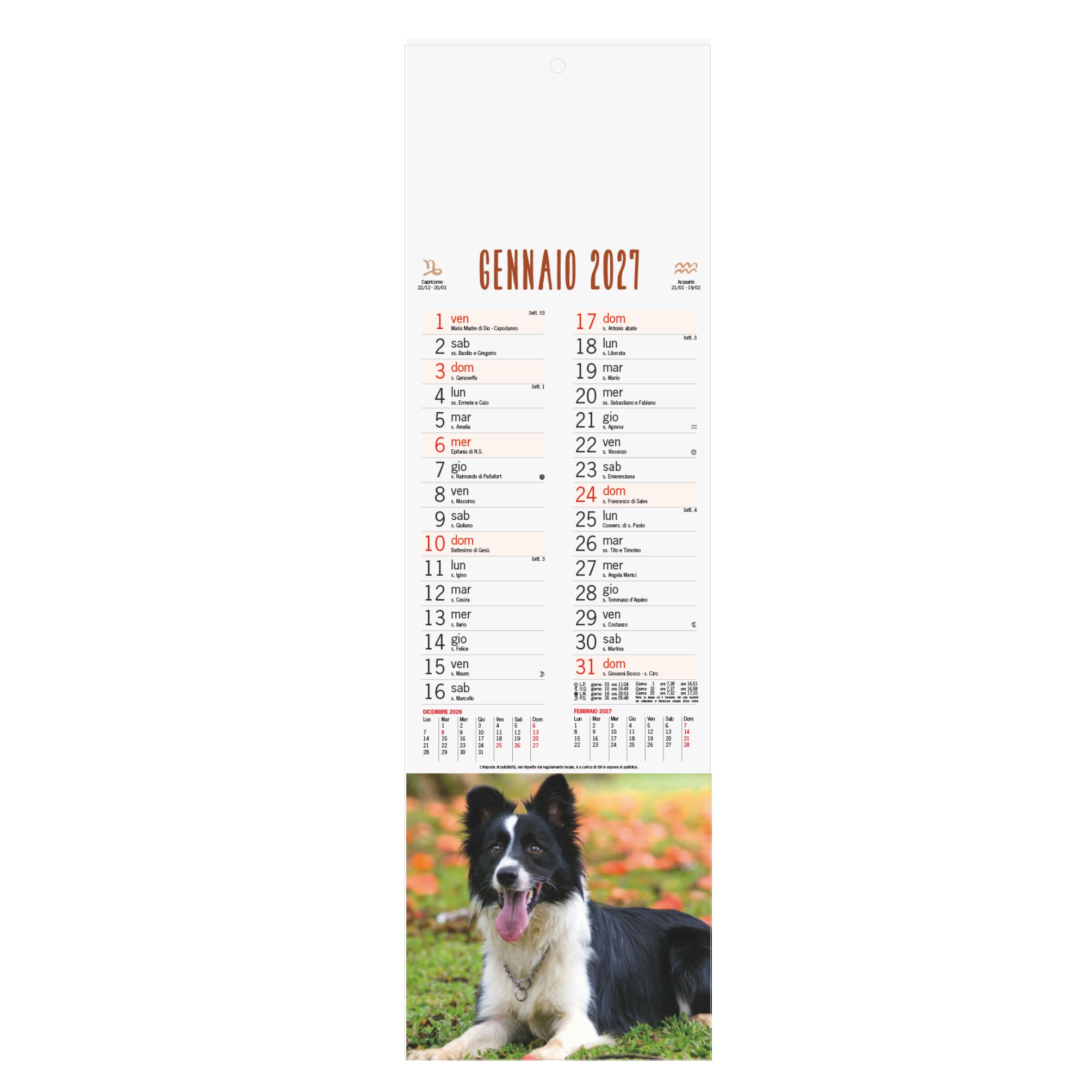 calendario cani e gatti olandese trimestrale 12 fogli carta patinata testata pressofusa personalizzabile