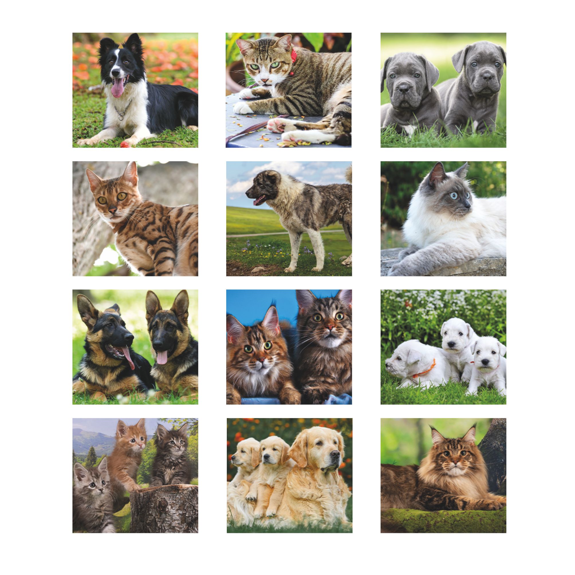 illustrazioni presenti nel calendario cani e gatti olandese trimestrale 12 fogli carta patinata testata pressofusa personalizzabile